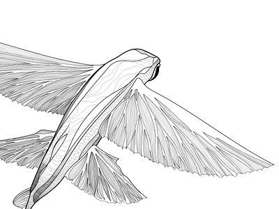 Let's go beyond and fly calendar flying fish illustration