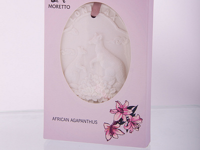 packaging design Moretto design illustration упаковка упаковка иллюстрация дизайн