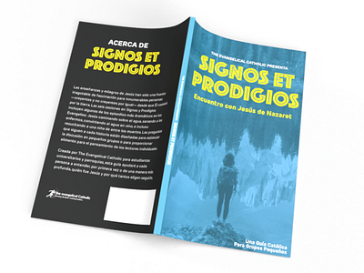 Signs and Wonders Cover book cover branding and identity catholic design illustration print
