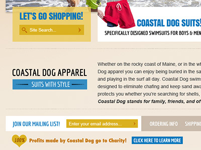 Coastal Dog Homepage Design Detail bathers beach blue ecommerce sand webdesign website yellow