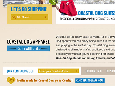 Coastal Dog Homepage Design Detail