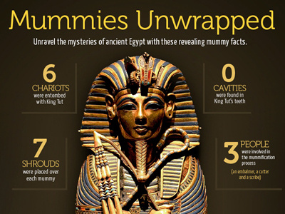 Mummies Unwrapped art direction infographic