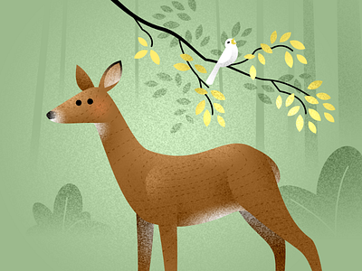 Heard deer illustration woods