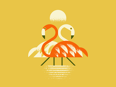 Mind the 'Mingos bird design flamingo illustration vector water