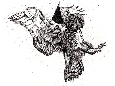 Eagle-Owl bird ink owl stippling