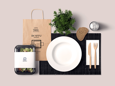 Download Mockup In Situ Logo By Janelle Li On Dribbble