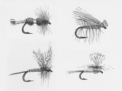Dry Flies dry fly fishing flies fly hook illustration micron pen and ink