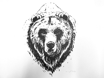 Bear animal bear forest pen and ink poster screen print