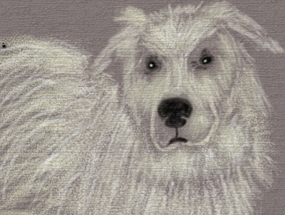 my goldi digital art dog dogs drawing paint paper