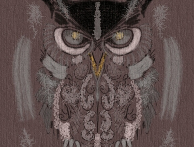 owl art design draw drawing owl owl illustration