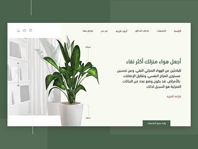 Plants Website.🍀