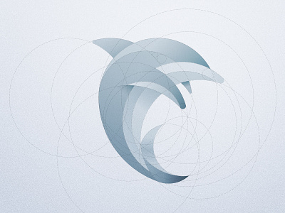 Dolphin branding circles design dolphin graphic design illustration logo vector