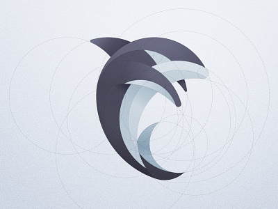 Orca Whale branding circles design graphic design illustration logo orca vector whale