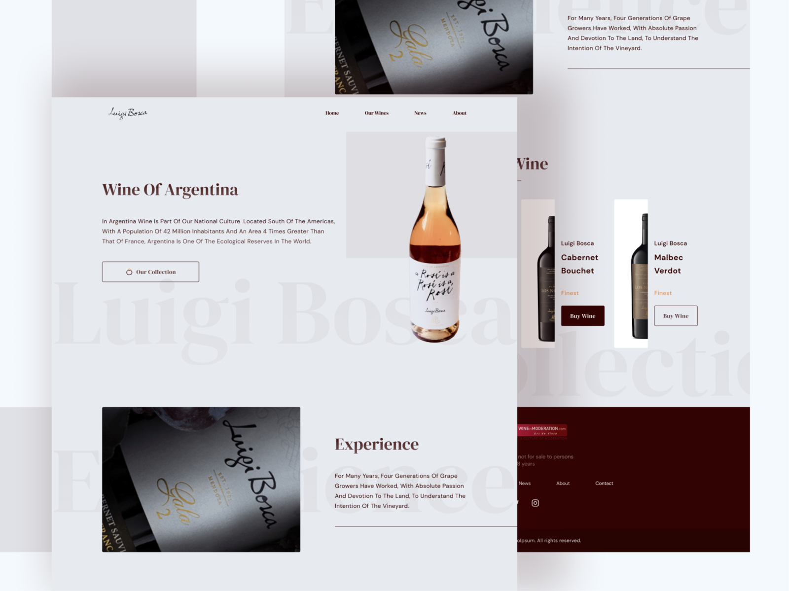 Wine Website Landing Page Design by Rahadian Maulana on Dribbble