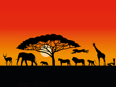 African animals character color design graphic design illustration