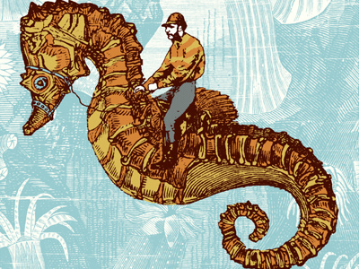 Seahorse racer humor illustration print