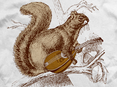Squirrel apparel illustration merch music tee shirt