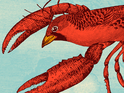 Lobstird character collage illustration
