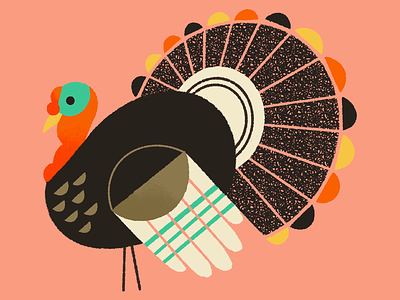 Turkey Textures animal digital illustration illustration ipadproart procreate textures thanksgiving turkey
