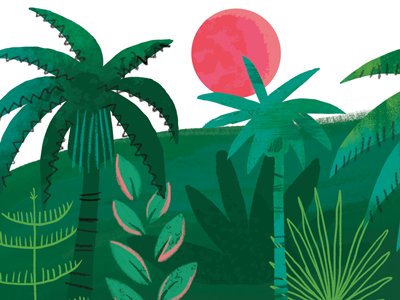 Jungle Test book ferns illustration jungle leaves palm tree plants sun trees