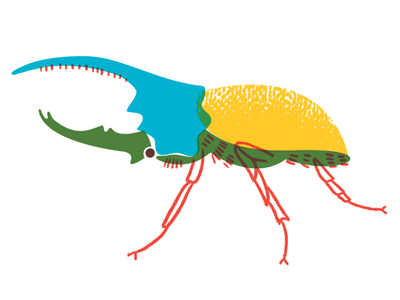 Hercules Beetle beetle bug colorful illustration insect overprint