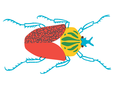 Goliath Beetle beetle bugs illustration insect specimen