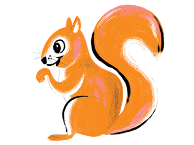 Squirrel 