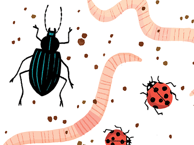 Beetles And Worms