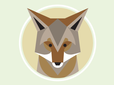 Coyote