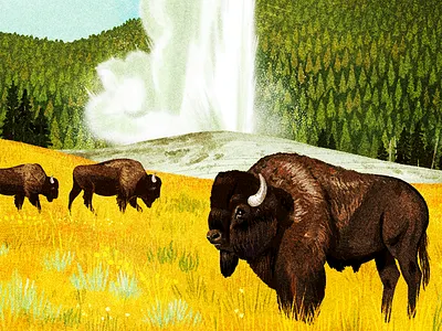 Yellowstone National Park bison geyser national park poster screen print yellowstone