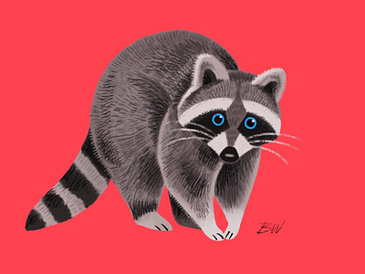 Friendly Raccoon animal character digital painting drawing illustration ipad pro procreate raccoon sketch