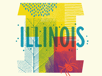 We're Coming to Illinois! bugs chicago collage illinois illustration nature spider textures type workshop