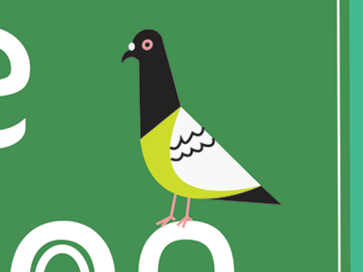 Pigeon bird design illustration new york pigeon