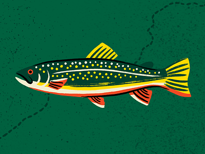 Brook Trout fish fishing illustration map trout