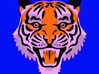 Tiger Test