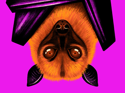 Flying Fox