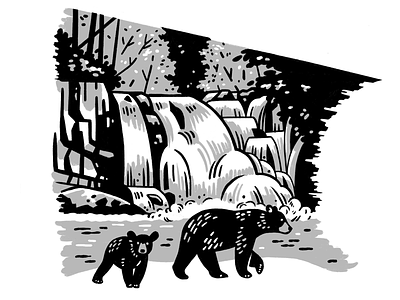 Abrams Falls WIP bears ipad pro national parks nature procreate waterfall wilderness
