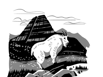 Mountain Goat WIP digital illustration mountain goat national parks pennant