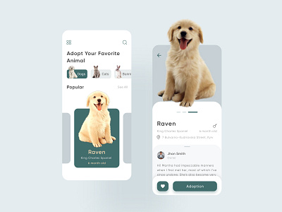 Pet Adoption App animals app app design cats colors concept dogs find dog ios minimal mobile application pet adoption pet app pet care pets petshop ui design ux design