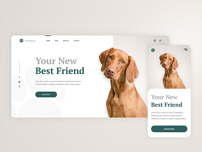 Pets Adoption Website animals clean design dog figma minimal mobile design pet pet adoption responsive design responsive website ui ux uidesign user interface web design website design