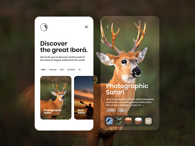 Ñande Retá Logde Website adventure booking digital agency hiking lodge mobile nature nature photography outdoors product design responsive responsive design responsive web design safari ui user experience ux web design website wild