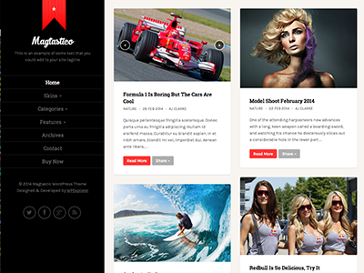 Masonry Wordpress Theme