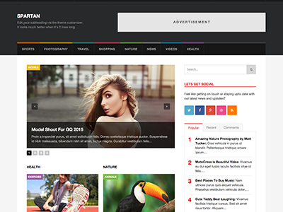 Spartan WordPress Blogging/News Theme blog magazine modern news website wordpress