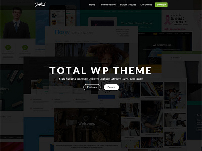 Total WordPress Theme Features landing page parallax slider templates theme website wordpress