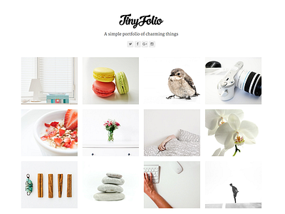 Tinyfolio - Total WordPress Theme Demo