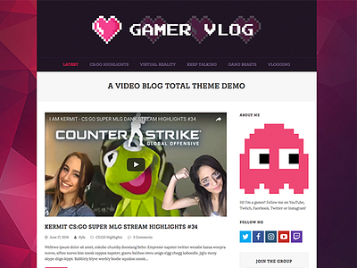 Vlog - Video Game Video Blog
