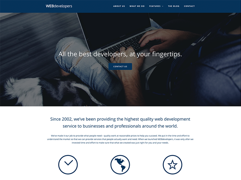 Webdevelopers - Total WordPress Theme Demo icons parallax blue wordpress themes template website corporate portfolio business