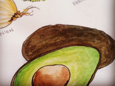 Avocado illustration ink veggies water color