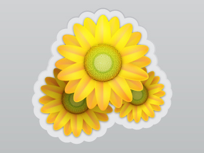Sunflowers badge icons vector
