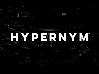 Hypernym logo